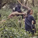 Dian Fossey - crédits : Image courtesy of the Bob Campbell Papers, Special & Area Studies Collections, George A. Smathers Libraries, University of Florida