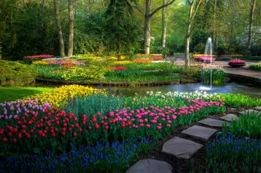 Jardin fleuri - crédits : © Darrell Gulin/ The Image Bank/ Getty Images