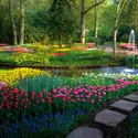 Jardin fleuri - crédits : © Darrell Gulin/ The Image Bank/ Getty Images