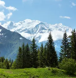 Mont-Blanc - crédits : © Landscape Nature Photo/ Shutterstock