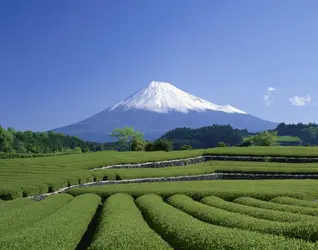 Fuji Yama - crédits : amana images/ Getty Images