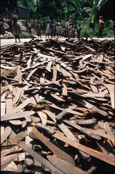 Génocide au Rwanda, 1994 - crédits : Scott Peterson/ Liaison/ Getty Images