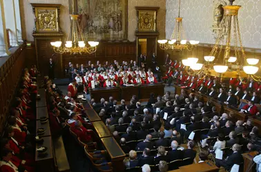 Rentrée solennelle de la cour d’appel de Paris - crédits : Joël Robine/ AFP