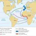 Commerce triangulaire - crédits : © Encyclopædia Universalis France