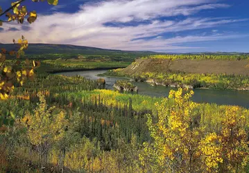 Fleuve Yukon - crédits : © E. Otto/Comstock