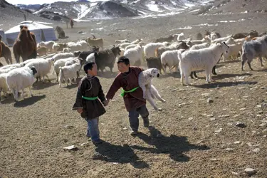 Mongolie - crédits : © 	Timothy Allen/ Stone/ Getty Images