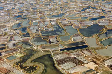 Salines de Guérande, Loire-Atlantique - crédits : © zjtmath/ Shutterstock