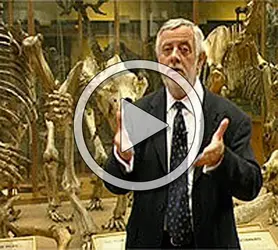 Entretien avec le paléontologue Yves Coppens sur les origines de l'homme - crédits : Encyclopædia Universalis France