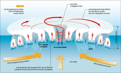 Structure d’un cyclone - crédits : Encyclopædia Universalis France