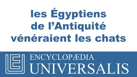 Les chats pendant l’Antiquité - crédits : © 2013 Encyclopædia Universalis