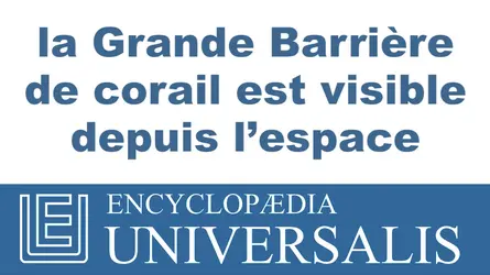 Grande Barrière de corail, Australie - crédits : © 2013 Encyclopædia Universalis