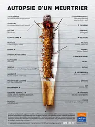 Ce que contient une cigarette - crédits : © Ligue contre le cancer