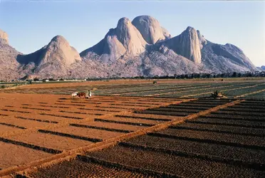 Agriculture au Soudan - crédits : Martin Rogers/ The Image Bank/ Getty Images