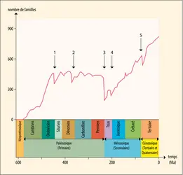 Les grandes extinctions - crédits : Encyclopædia Universalis France