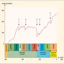 Les grandes extinctions - crédits : Encyclopædia Universalis France