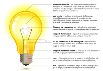 Description d'une lampe à incandescence - crédits : © Encyclopædia Universalis France