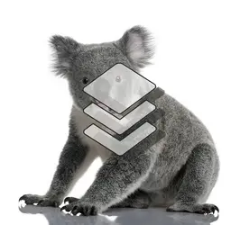 koala - crédits : © Eric Isselée/ Shutterstock