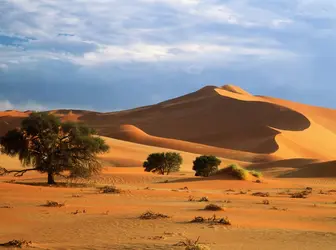 Désert du Namib, Namibie - crédits : John Chard/ Getty Images