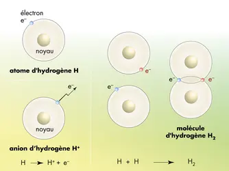Atome, ion et molécule - crédits : © Encyclopædia Universalis France