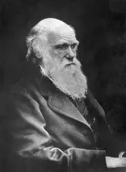 Charles Darwin - crédits : Spencer Arnold/ Getty Images