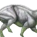 Tricératops - crédits : © Encyclopædia Universalis France