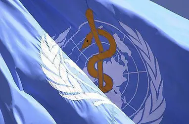 Drapeau de l'Organisation mondiale de la santé - crédits : © OMS/ Service de presse et communication
