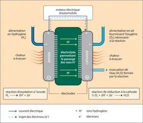 Pile à combustible - crédits : © Encyclopædia Universalis France