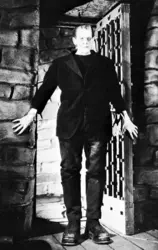 Frankenstein au cinéma - crédits : © Universal City Studios, Inc.; photograph, Brown Brothers