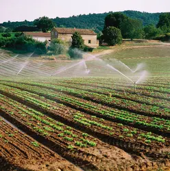 Irrigation - crédits : © age fotostock/SuperStock