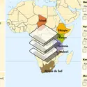 Les plus anciens hominidés d'Afrique - crédits : © Encyclopædia Universalis France