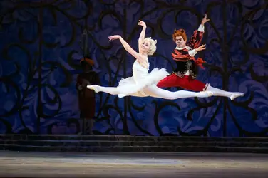 Ballet La Belle au bois dormant - crédits : © I. Bulgarin/ Shutterstock