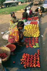 Côte d'Ivoire - crédits : © L. Romano/DeA Picture Library