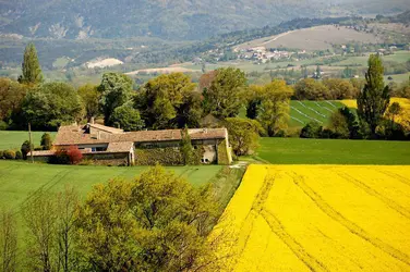 Campagne drômoise - crédits : © Y.Morin/ Shutterstock.com