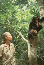 Jane Goodall - crédits : M. Neugebauer/ avec l'aimable autorisation de l'Institut Jane Goodall