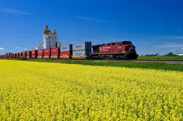 Agriculture intensive, Canada - crédits : All Canada Photos/ Alamy/ Hemis