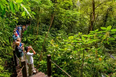 Forêt tropicale du Panamá - crédits : © Wolfgang Kaehler/ LightRocket/ Getty Images