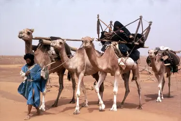 Sahel - crédits : © Thierry Rannou/ Gamma-Rapho/ Getty Images