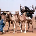 Sahel - crédits : © Thierry Rannou/ Gamma-Rapho/ Getty Images