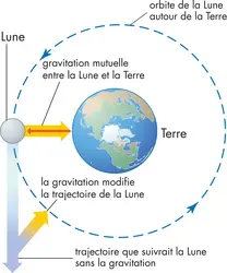 Orbite de la Lune - crédits : © Encyclopædia Britannica, Inc.