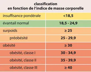 Classification des types d'obésité - crédits : © Encyclopædia Universalis France