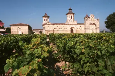 Vignoble en Aquitaine - crédits : © Stéphane Klein/ Sygma/ Getty Images