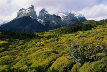 Paysage de Patagonie - crédits : Glen Allison/ The Image Bank/ Getty Images