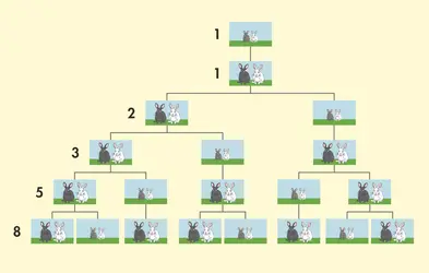 Suite de Fibonnaci - crédits : © Encyclopædia Universalis France