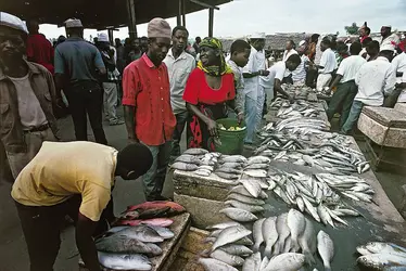 Marché aux poissons en Tanzanie - crédits : © IGDA/G. Wright