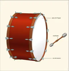 Grosse caisse - crédits : Encyclopædia Universalis France