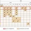 Calendrier vaccinal - crédits : © Encyclopædia Universalis France