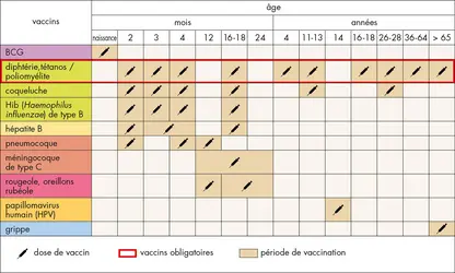 Calendrier vaccinal - crédits : © Encyclopædia Universalis France