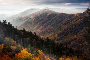 Tennessee, États-Unis - crédits : © Tony Barber/ Moment/ Getty Images
