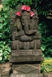 Ganesha - crédits : John Elk III/ Getty Images