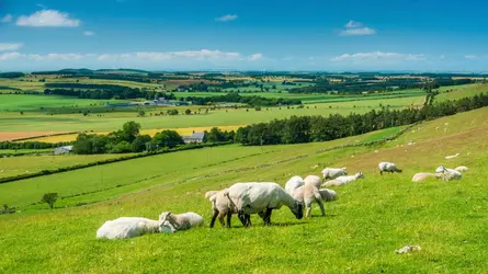 Angleterre - crédits : © Loop Images/ Universal Images Group/ Getty Images